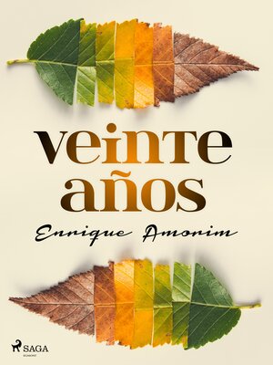cover image of Veinte años